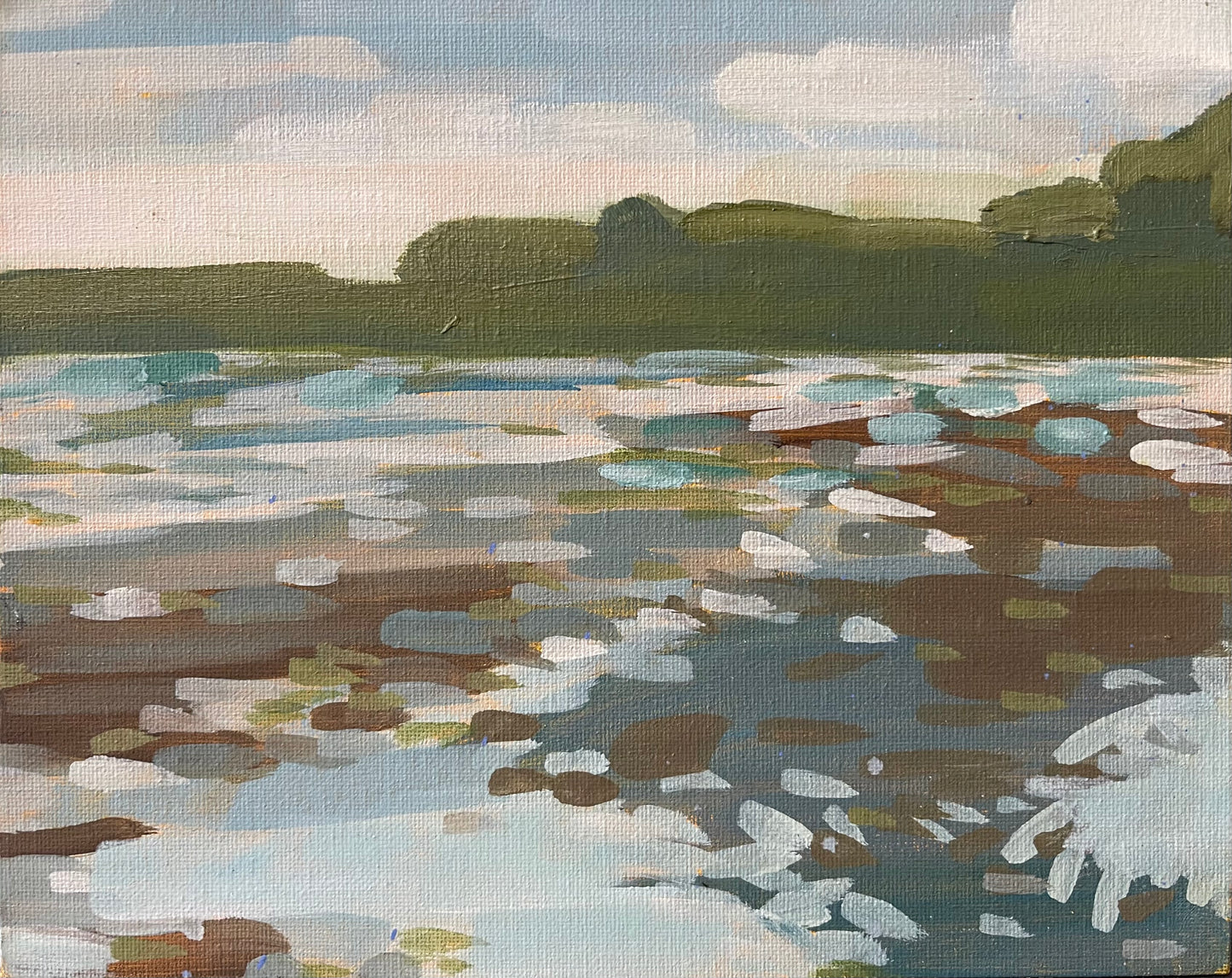 Landscape Study 030525